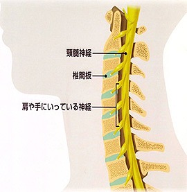 注射 ブロック